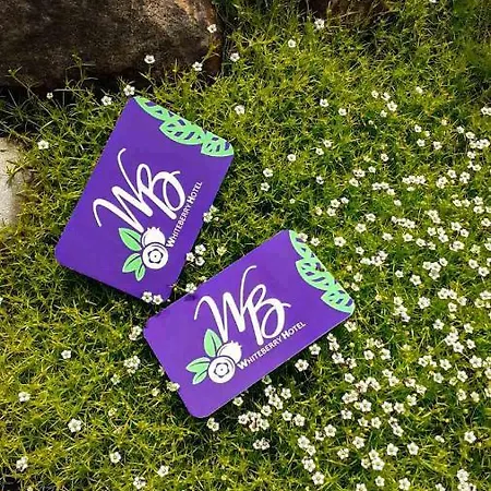 Whiteberry Отель Буковель