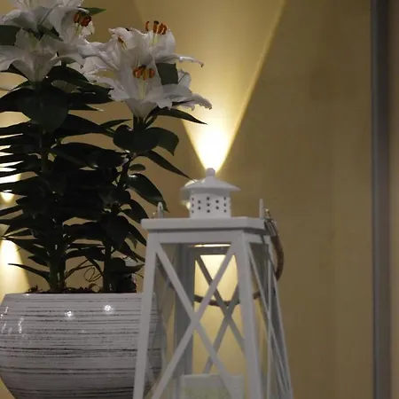 Отель Whiteberry 3*