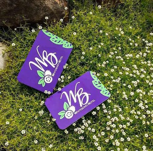 Whiteberry 酒店 布克维